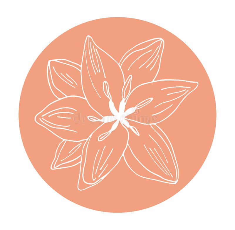  Ilustración Del Vector De Flores De Hawaii Hibiscus. Dibujos a Mano Colores Neutros Doodles Florales. Diseño Para Logotipo Stock de ilustración
