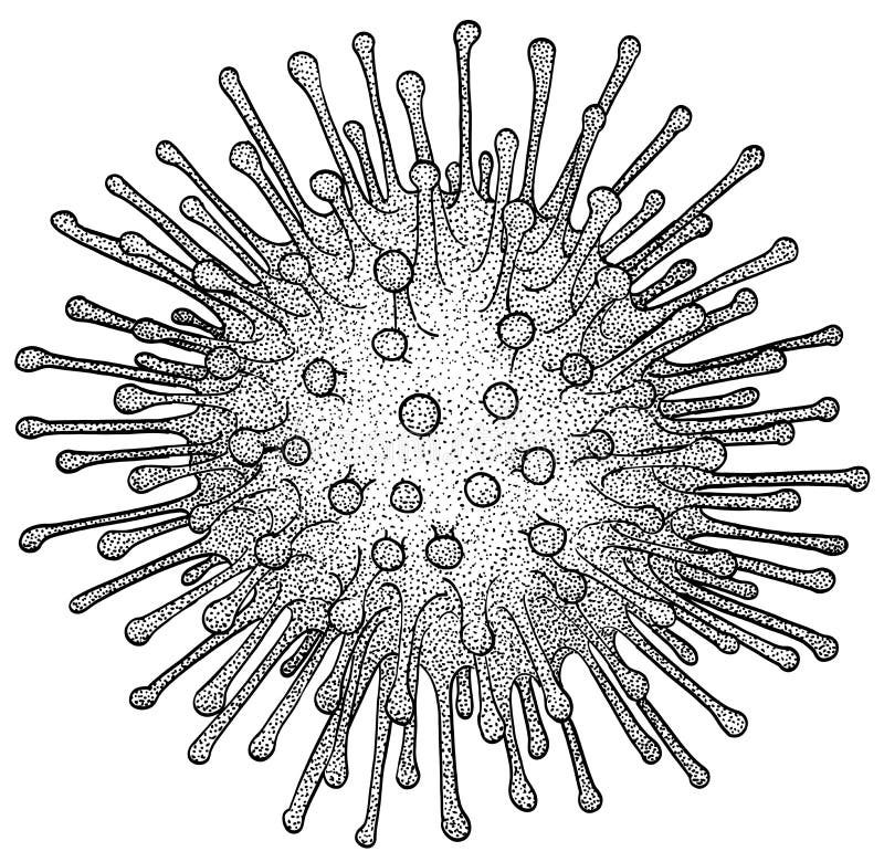 Ilustración Del Virus De La Gripe Dibujo Grabando El Vector De La Línea De Tinta Ilustración del Vector - Ilustración de enfermedad, célula: 177010804 Ilustración Del Virus De La Gripe Dibujo Grabando El Vector De La Línea De Tinta Ilustración del Vector - Ilustración de enfermedad, célula: 177010804