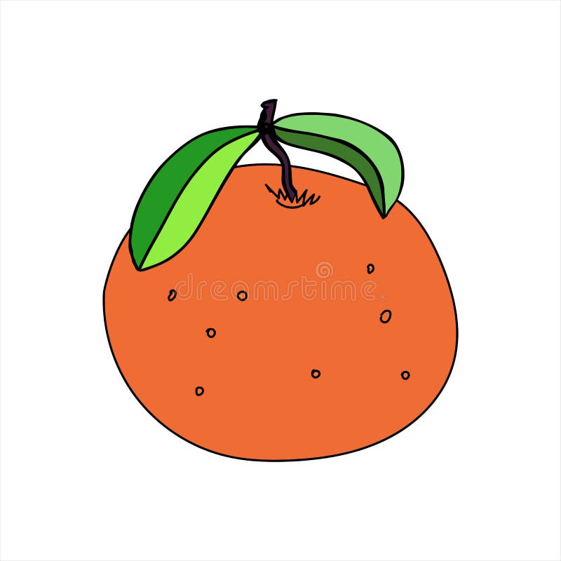 Ilustración Vectorial De Naranja O Mandarina En Estilo Doodle. Ilustración  del Vector - Ilustración de textil, aislado: 215546779