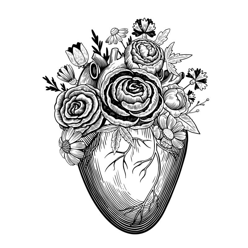 Ilustración Vintage Del Corazón Con Flores En Estilo De Grabado De  Tatuajes. Dibujo Vectorial En Blanco Y Negro. Ilustración del Vector -  Ilustración de valentinas, vendimia: 207067282