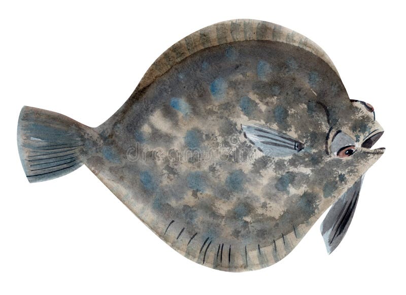 Ilustración de acuarela de mano de un pez fundido