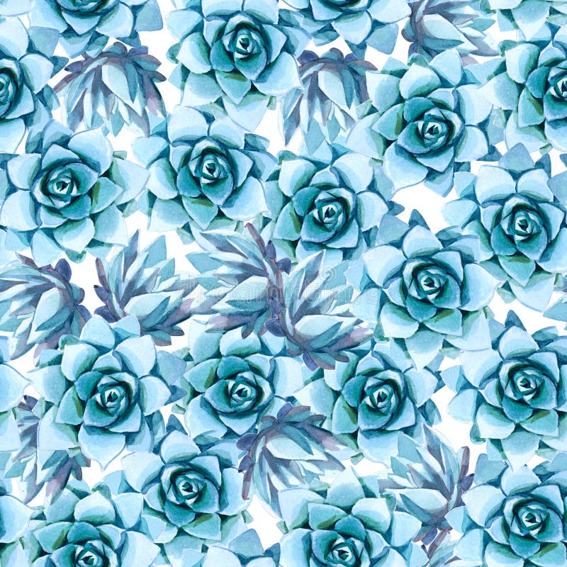Ilustración de la acuarela Modelo inconsútil del succulent azul stock de ilustración Ilustración de la acuarela Modelo inconsútil del succulent azul stock de ilustración