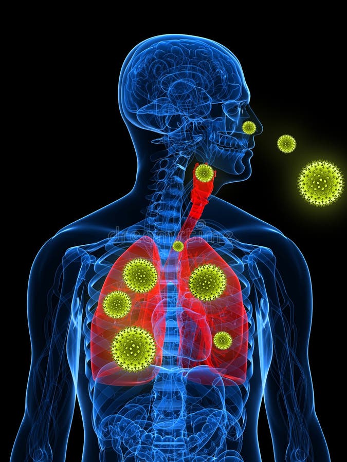 3d rendered illustration of a transparency male body with pollen in lung. 3d rendered illustration of a transparency male body with pollen in lung