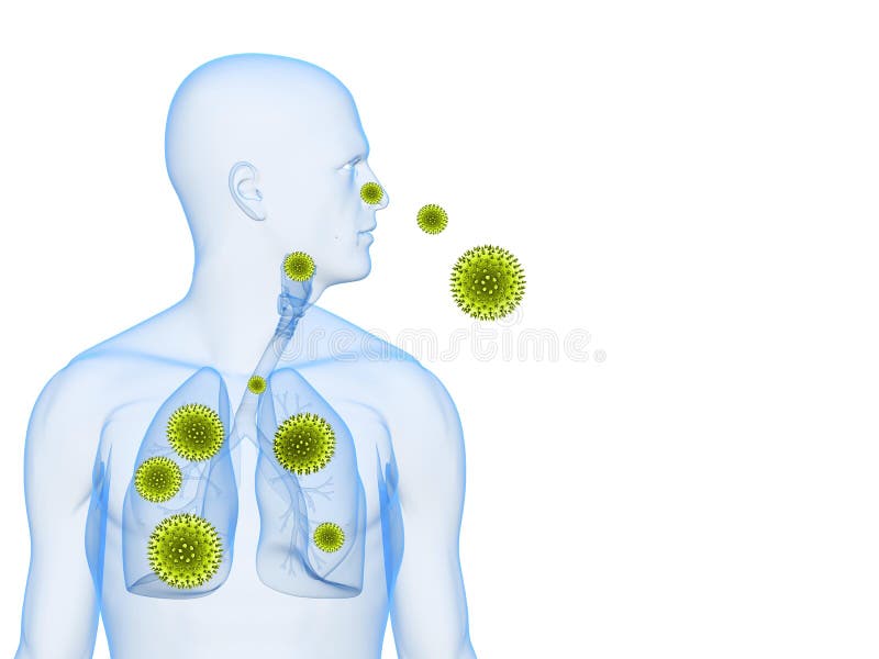 3d rendered illustration of a transparency male body with pollen in lung. 3d rendered illustration of a transparency male body with pollen in lung