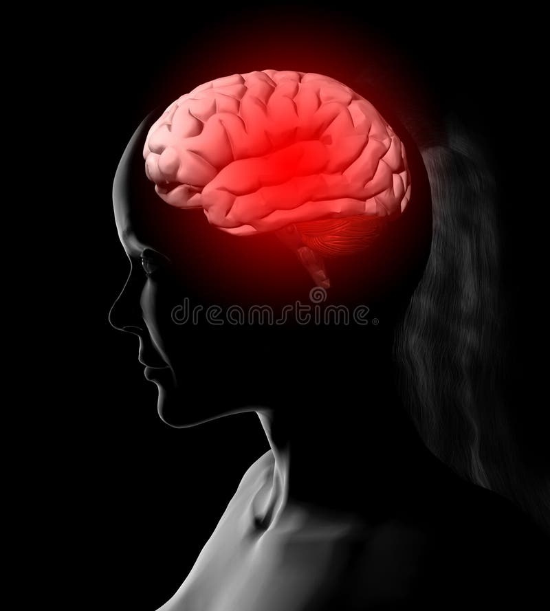 Ilustración de la mujer y del cerebro stock de ilustración Ilustración de la mujer y del cerebro stock de ilustración