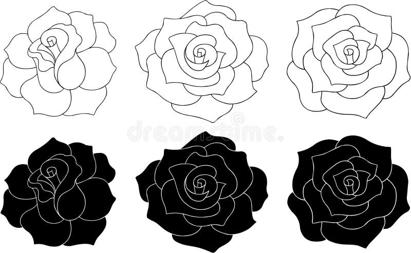 Ilustración del vector de las rosas stock de ilustración Ilustración del vector de las rosas stock de ilustración