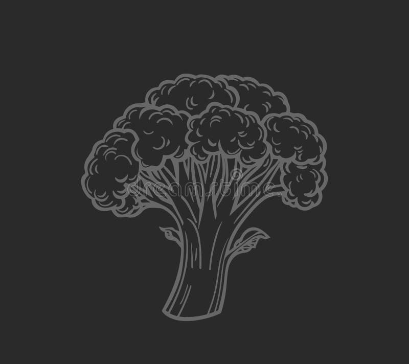 Ilustración a mano de broccoli stock de ilustración
