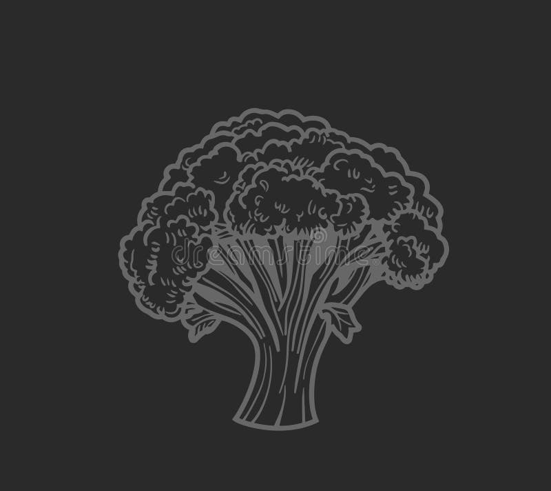 Ilustración a mano de broccoli libre illustration