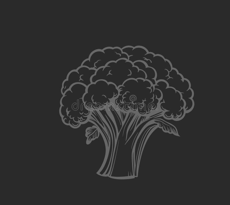 Ilustración a mano de broccoli libre illustration