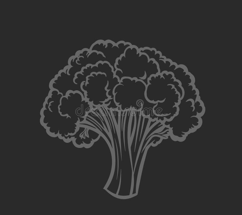 Ilustración a mano de broccoli stock de ilustración