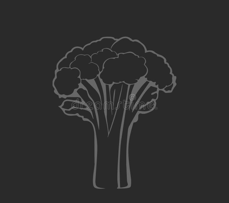 Ilustración a mano de broccoli stock de ilustración
