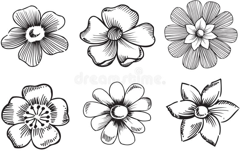 Ilustración ornamental del vector de las flores stock de ilustración Ilustración ornamental del vector de las flores stock de ilustración