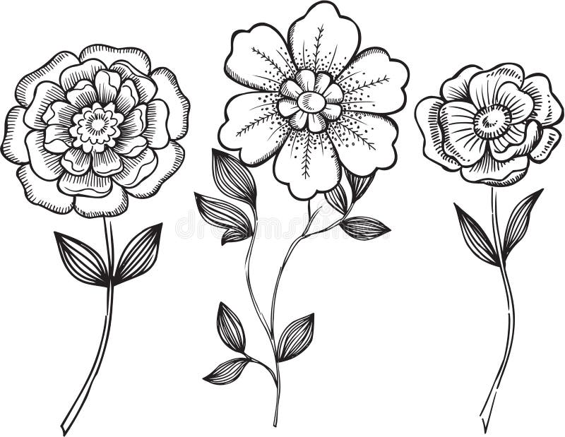 Ilustración ornamental del vector de las flores ilustración del vector Ilustración ornamental del vector de las flores ilustración del vector