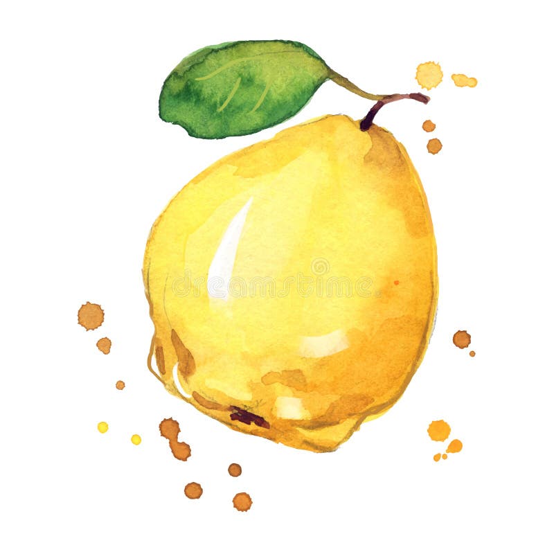 Ilustracja akwarelowa żółta ryba soczysta ilustracja wektor
