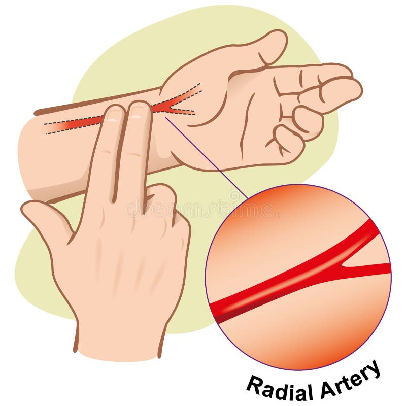 Ilustracja pierwszej pomocy mierząca impuls promieniami tętnicy