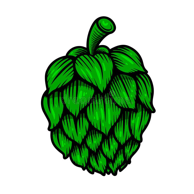 Ilustracja piwa hop na białym tle. element projektu znaku emblematu etykiety z logo. ilustracja wektor