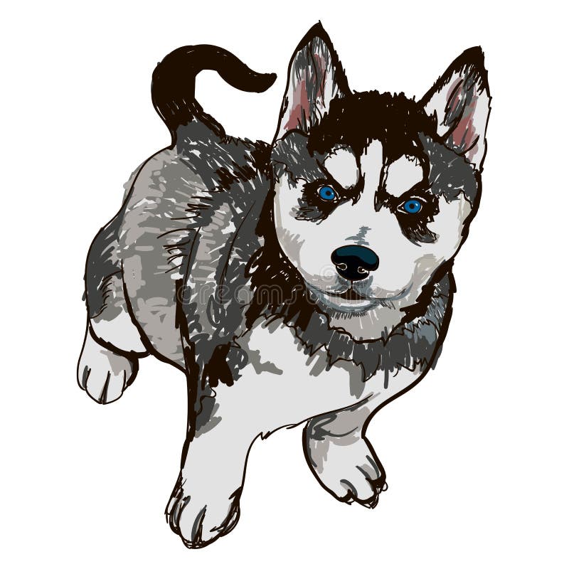 Ilustracja psi trakenu trakenu husky royalty ilustracja Ilustracja psi trakenu trakenu husky royalty ilustracja