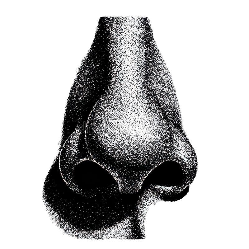 Ilustracja Vintage Nose. Ilustracja Anatomiczna Retra Izolowana Na Przezroczystym Tle. generowane przez algorytmy sztuczne
