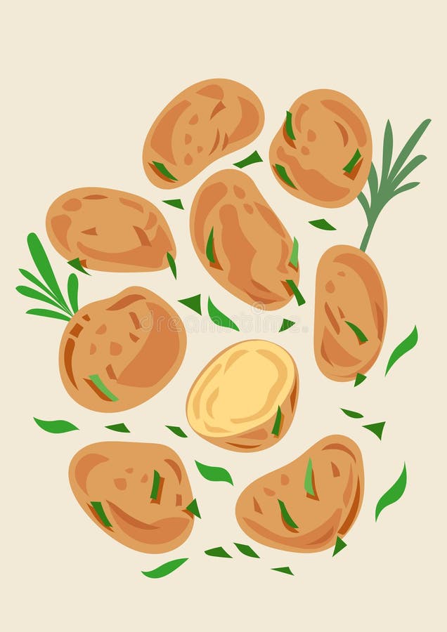 Boiled baby potatoes with green garnish leaves food ingredients vector illustration isolated on vertical background. Simple flat cartoon art styled drawing. Boiled baby potatoes with green garnish leaves food ingredients vector illustration isolated on vertical background. Simple flat cartoon art styled drawing.