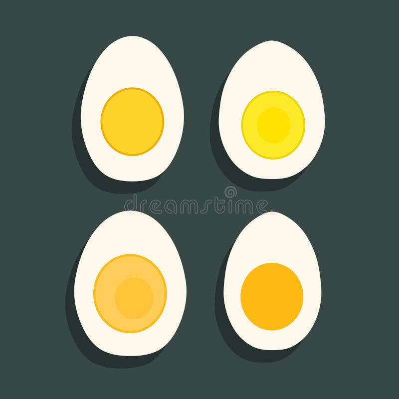 Boiled egg vector illustration. Set of halves of hard boiled chicken eggs. Boiled egg vector illustration. Set of halves of hard boiled chicken eggs