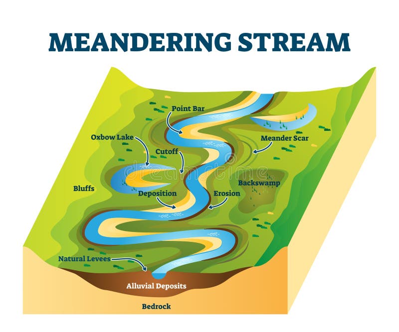 Meandering stream vector illustration. Labeled river curves cause explanation scheme. Diagram with watercourse structure. Point bar, meander scar, erosion, deposition or oxbow lake educational example. Meandering stream vector illustration. Labeled river curves cause explanation scheme. Diagram with watercourse structure. Point bar, meander scar, erosion, deposition or oxbow lake educational example