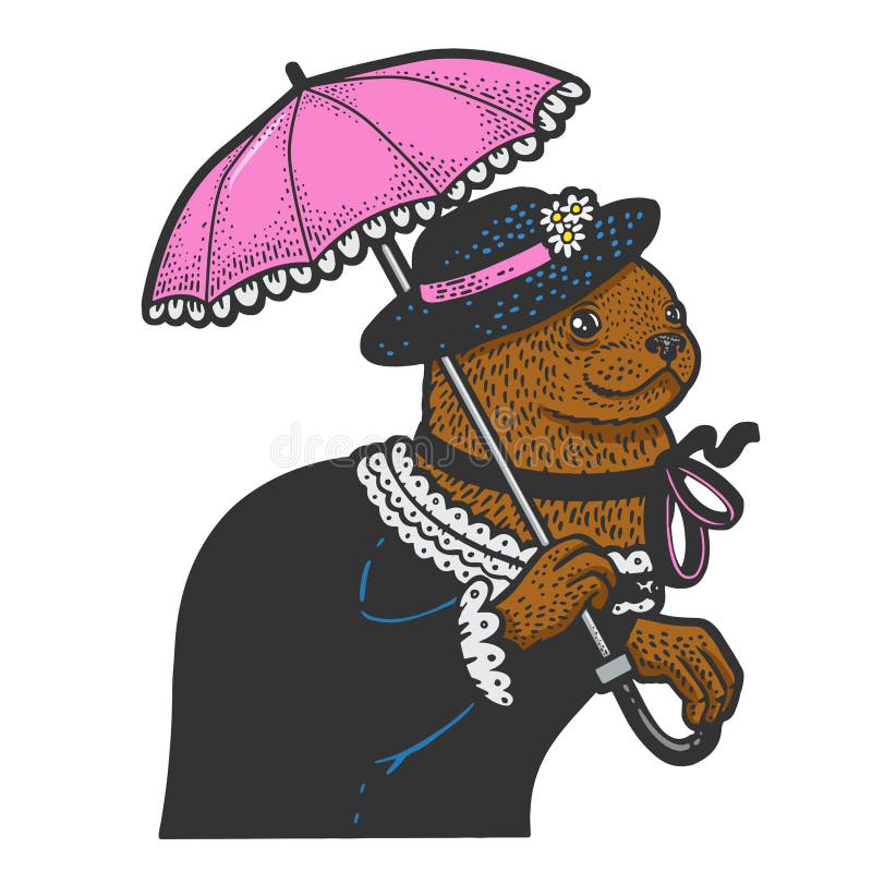 Ilustracja wektora szkiców kolorów wydry lady royalty ilustracja