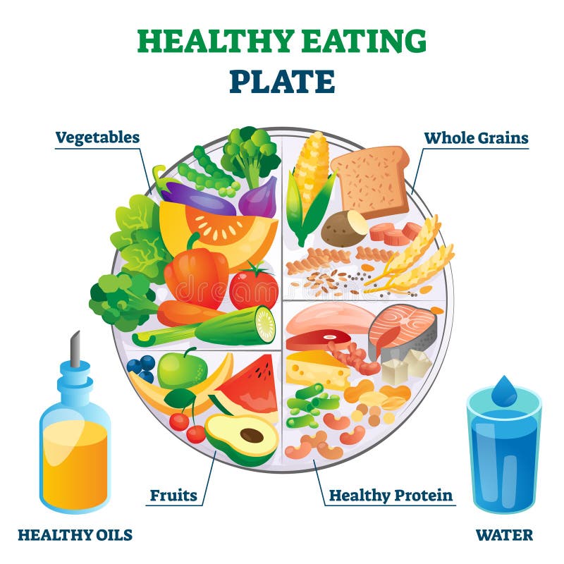 Ilustracja wektora zdrowej diety. etykietowany edukacyjny przykład żywności.