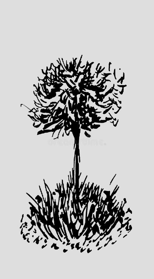 Ilustrare schiță arbore cu stil gravat. cerneală desenată manual. desenul liniei de fundal este izolat pe fond gri deschis. vector illustration