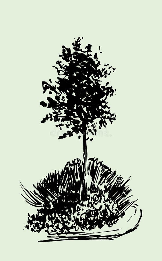 Ilustrare schiță arbore cu stil gravat. cerneală desenată manual. desenul liniei de fundal este izolat pe fond verde deschis. royalty free illustration