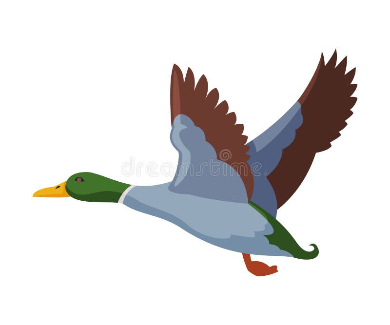 Ilustrare vectorială cu stil plat de rață sălbatică zburătoare stock illustration
