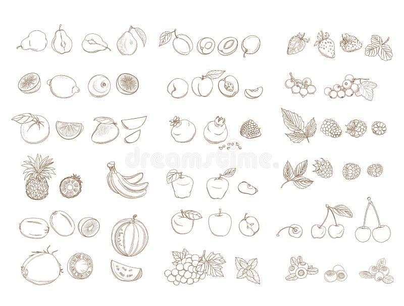 . ilustrare vectorială