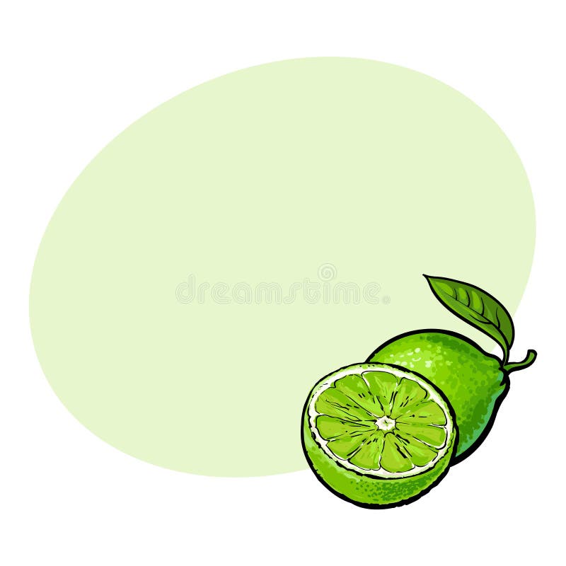 Ilustrare vectorială a graficului roz copt, complet și jumătate cojit. Ilustrare vectorială a stilului de desenare a lămâii verzi cojite și netede, cu spațiu pentru text. fructe de lămâie suculentă, întregi și tăiate felii, cu frunze verzi proaspete