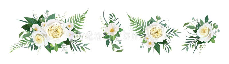 Ilustrarea culorii buchet floral vectorial a culorii acestuia. frunze de frunze de frunze de frunze de frunze de frunze albe de ca royalty free illustration