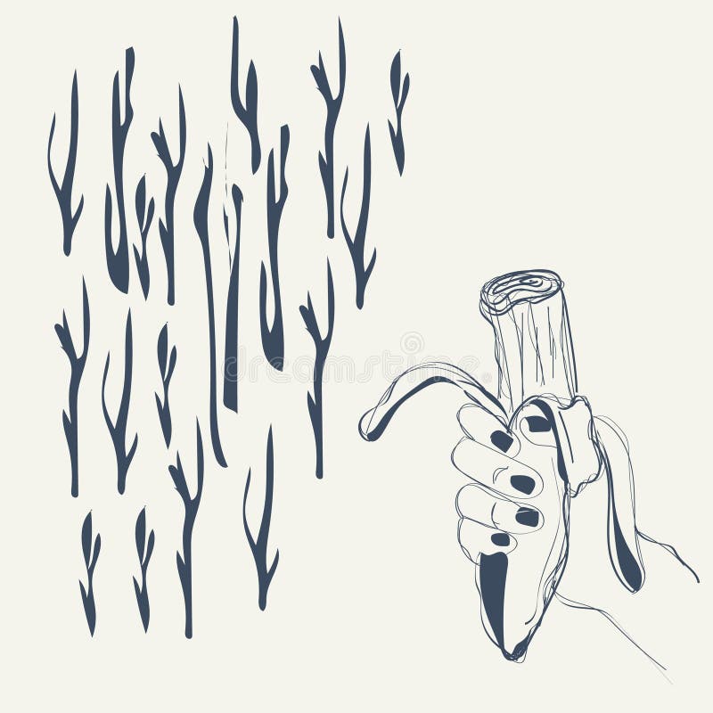 Ilustrarea interesantă a mâinii și ramurilor bananelor vector illustration