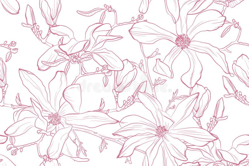Ilustrarea vectorului florii magnolia. model fără sudură cu flori roz pe fond alb. vector illustration