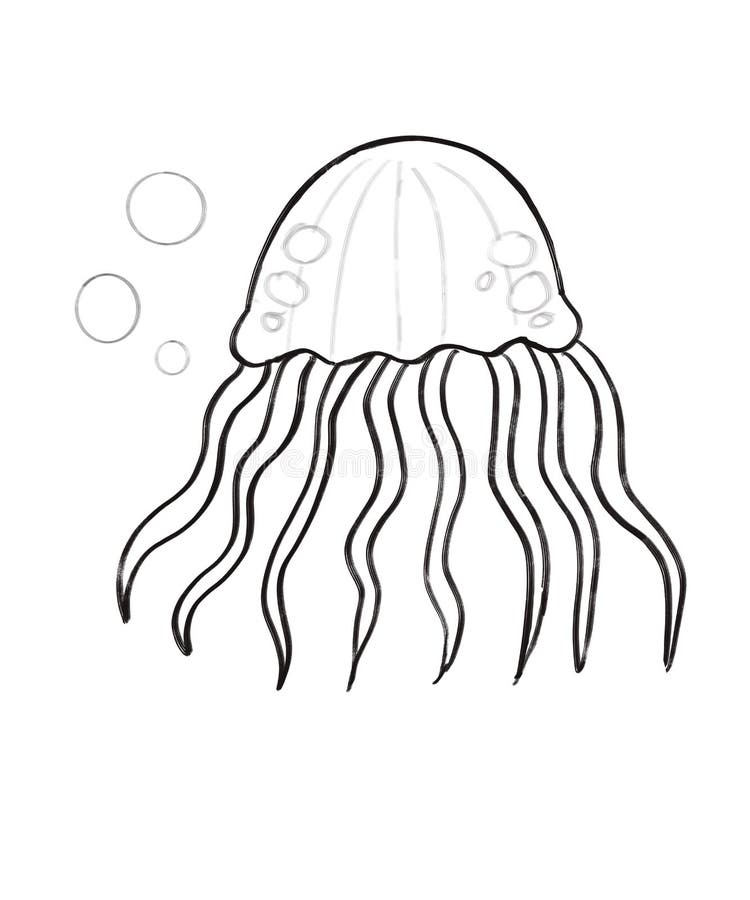 jellyfish drawing for kids