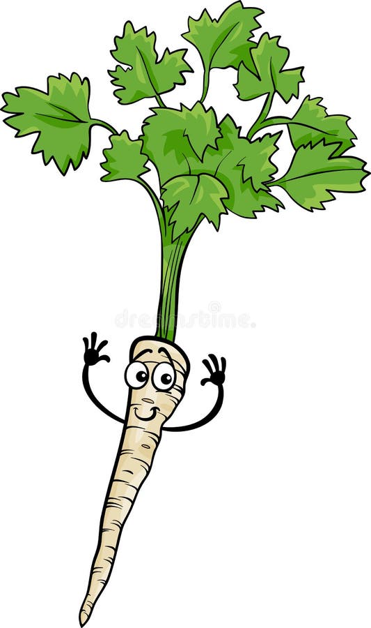 Cartoon Illustration of Funny Comic Parsley Root Vegetable Food Character. Cartoon Illustration of Funny Comic Parsley Root Vegetable Food Character
