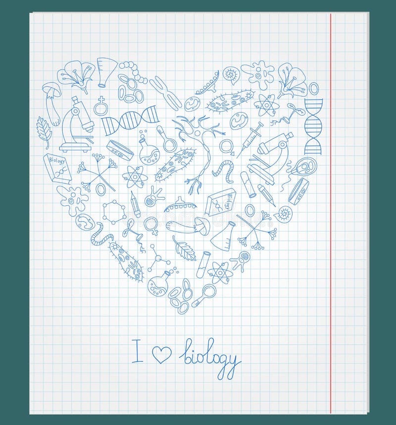 A ilustração com papel do caderno com ícones no tema da biologia é arranjada na forma de um coração ilustração royalty free A ilustração com papel do caderno com ícones no tema da biologia é arranjada na forma de um coração ilustração royalty free