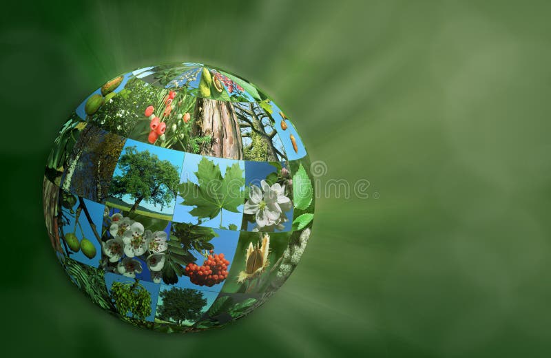 Ilustração 3d natural ecológica do eco do verde da natureza do globo do planeta ilustração do vetor Ilustração 3d natural ecológica do eco do verde da natureza do globo do planeta ilustração do vetor