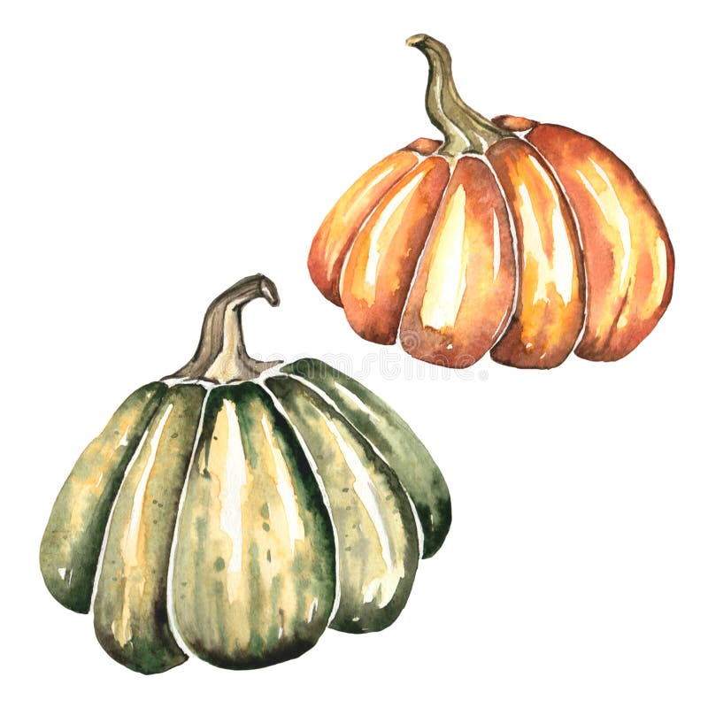 Ilustração da aquarela de duas abóboras brilhantes para o outono e o projeto de Dia das Bruxas ilustração do vetor Ilustração da aquarela de duas abóboras brilhantes para o outono e o projeto de Dia das Bruxas ilustração do vetor