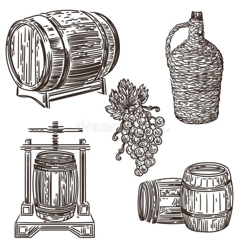 Ilustração 1 da fatura de vinho ilustração do vetor Ilustração 1 da fatura de vinho ilustração do vetor