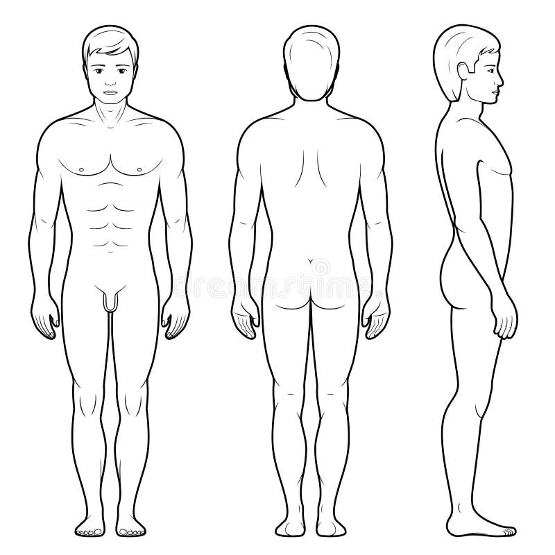 Ilustração da figura masculina