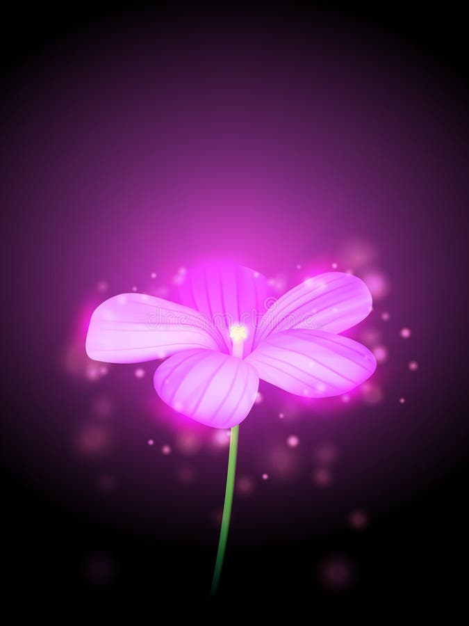 Ilustração floral vetorial ilustração do vetor