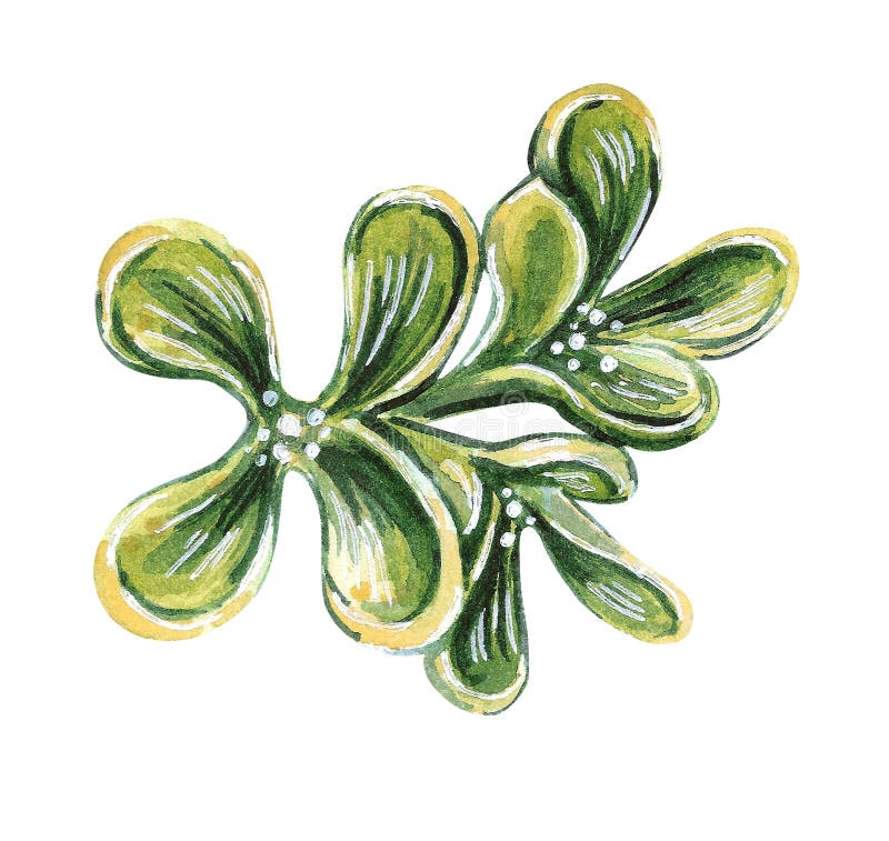 Ilustração da forma da aquarela de um h do brooÑ na cor de verde azeitona ilustração royalty free Ilustração da forma da aquarela de um h do brooÑ na cor de verde azeitona ilustração royalty free