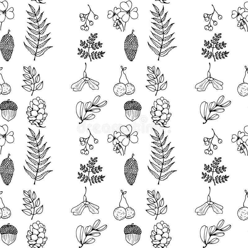 Ilustração da natureza Materiais naturais Cartão da floresta Frutos da floresta, folhas, ramos Teste padrão sem emenda preto e br ilustração royalty free Ilustração da natureza Materiais naturais Cartão da floresta Frutos da floresta, folhas, ramos Teste padrão sem emenda preto e br ilustração royalty free