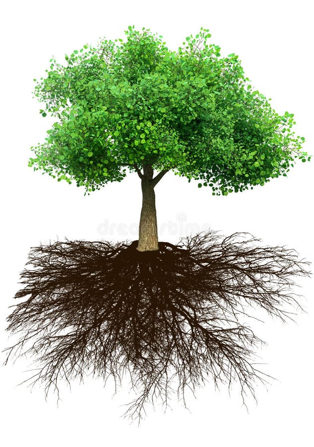 Ilustração da árvore e da grama 3D ilustração stock