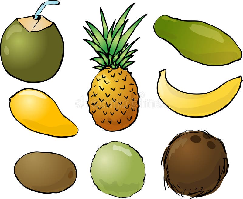 Illustration of tropical fruits, hand-drawn look: young green coconut, pinapple, papaya, mango, banana, kiwi, guava, coconut. Vector illustration available for download. Click here for more vectors --------------------------------------. Illustration of tropical fruits, hand-drawn look: young green coconut, pinapple, papaya, mango, banana, kiwi, guava, coconut. Vector illustration available for download. Click here for more vectors --------------------------------------