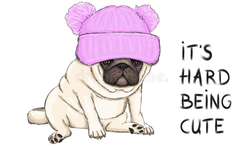 Ilustração do vetor do cão de cachorrinho engraçado do pug que senta-se para baixo com o chapéu e texto feitos malha cor-de-rosa ilustração royalty free Ilustração do vetor do cão de cachorrinho engraçado do pug que senta-se para baixo com o chapéu e texto feitos malha cor-de-rosa ilustração royalty free