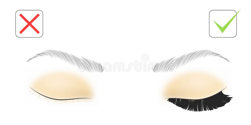 Ilustração do vetor de extensões da pestana Ilustração da extensão da pestana: antes e depois ilustração do vetor Ilustração do vetor de extensões da pestana Ilustração da extensão da pestana: antes e depois ilustração do vetor