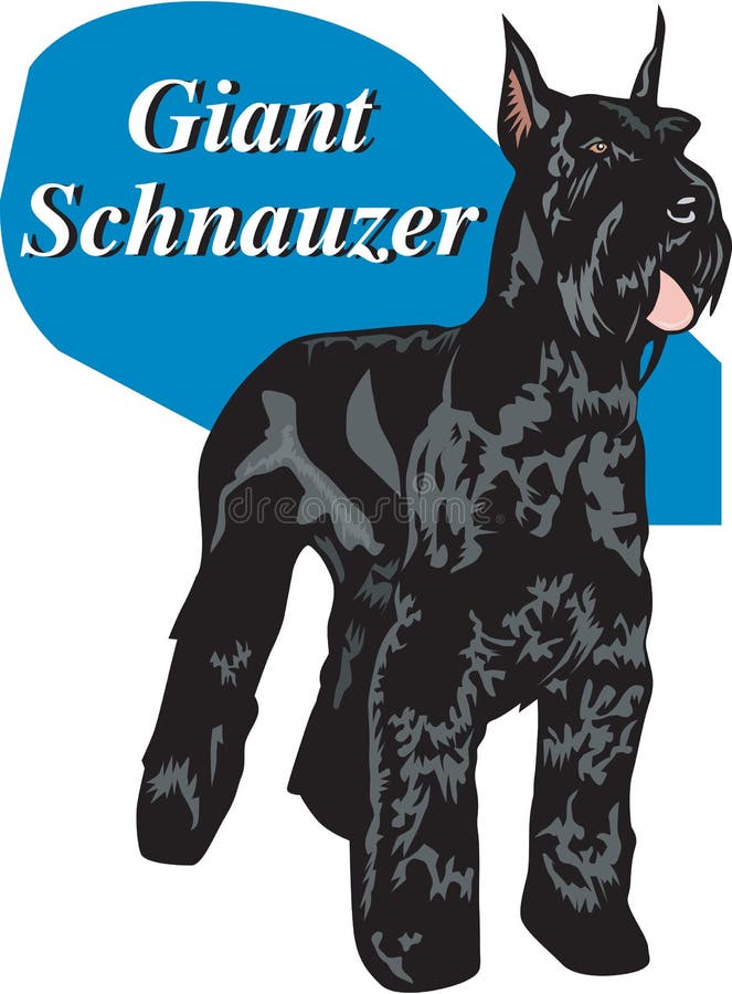 Ilustração do vetor do Schnauzer gigante ilustração stock Ilustração do vetor do Schnauzer gigante ilustração stock